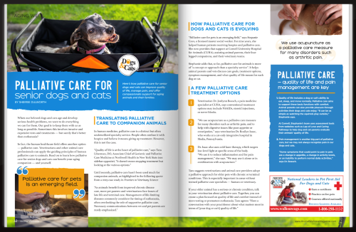 Palliative Care for Pets